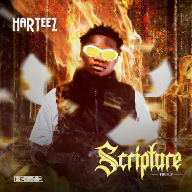 Harteez – The Book of Attention